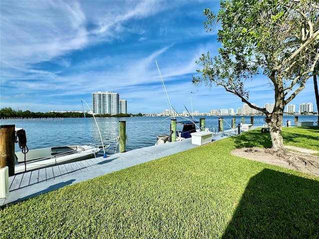 dock area with a yard and a water view