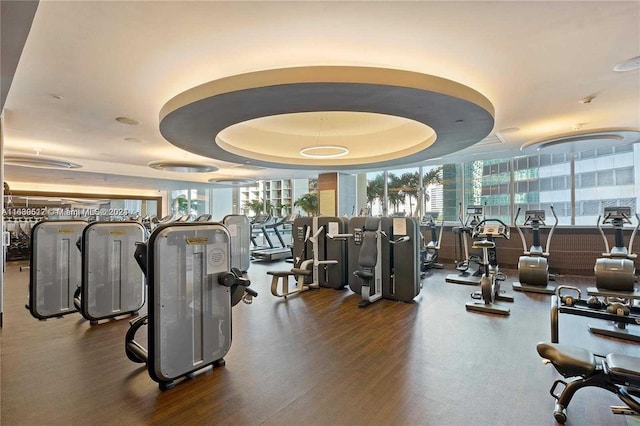 gym with dark wood-type flooring, a raised ceiling, and floor to ceiling windows