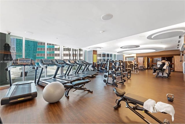 workout area with floor to ceiling windows and wood-type flooring