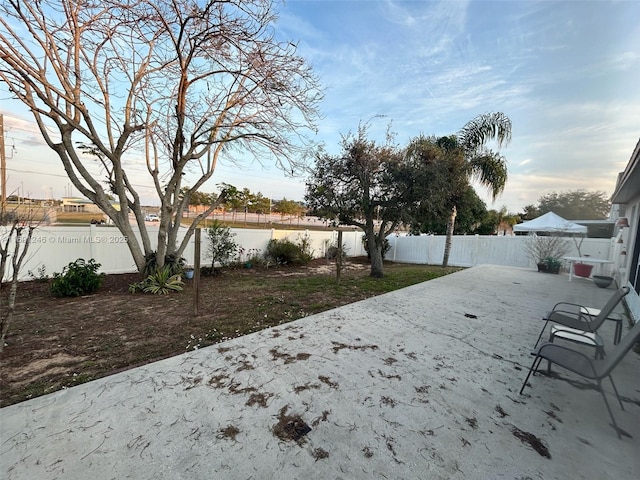 view of yard featuring a patio area