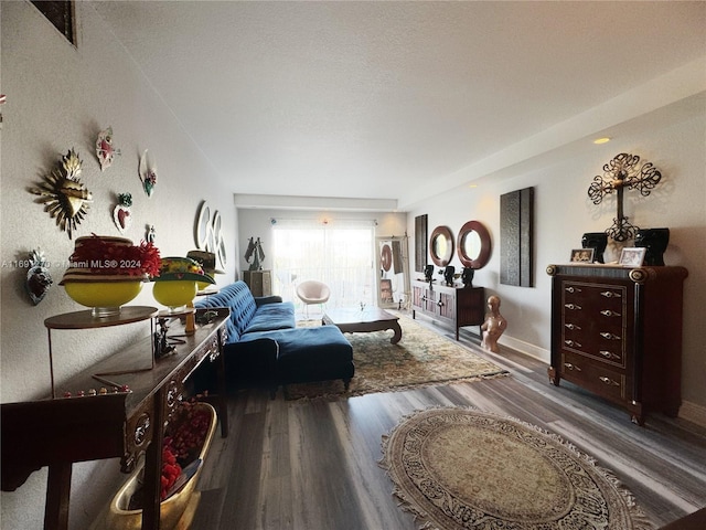 living room featuring hardwood / wood-style flooring