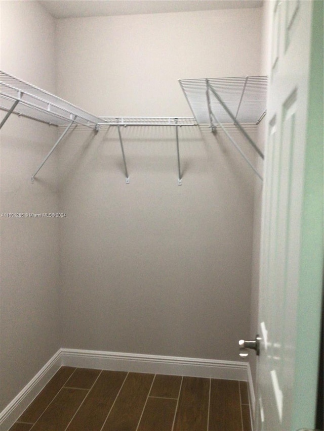 spacious closet featuring dark wood-type flooring