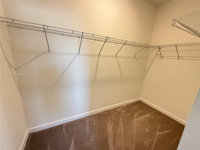 spacious closet with dark colored carpet