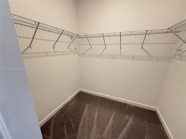 spacious closet featuring dark colored carpet