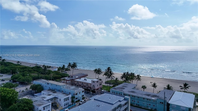 water view featuring a beach view