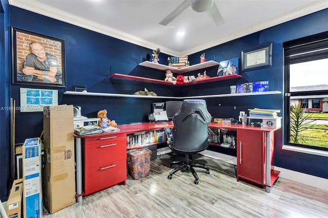 office area featuring ornamental molding, ceiling fan, and light hardwood / wood-style floors