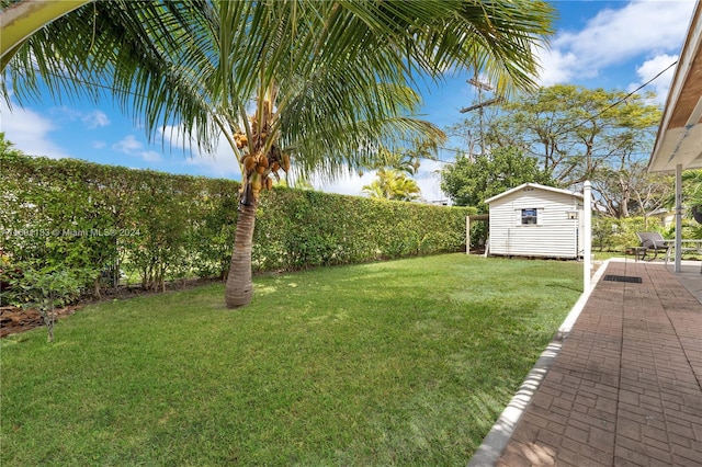 view of yard with a patio area and a storage shed