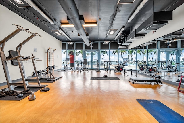 workout area featuring expansive windows and hardwood / wood-style floors