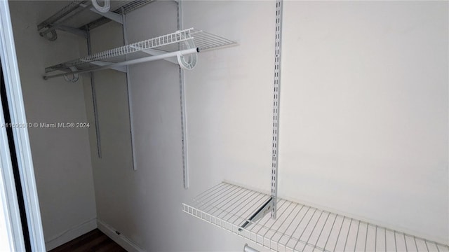 spacious closet featuring dark hardwood / wood-style flooring