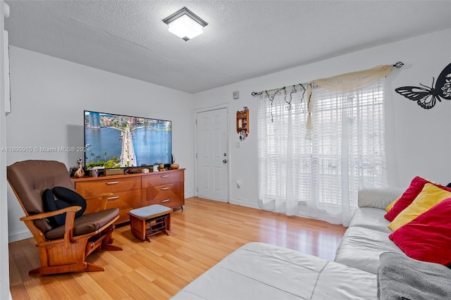 living room with a textured ceiling and hardwood / wood-style flooring