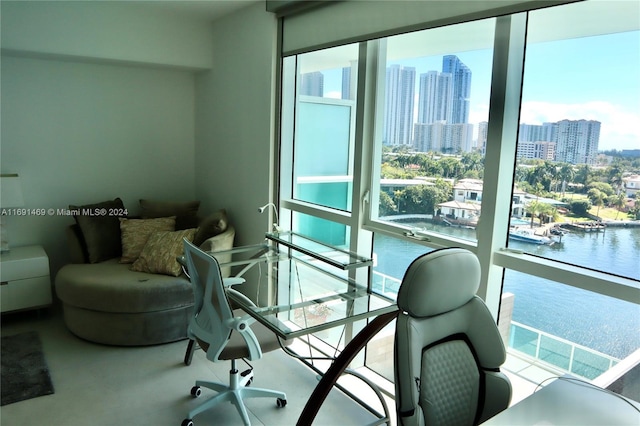 interior space with a wealth of natural light and a water view