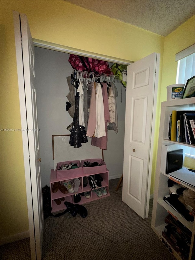 view of closet