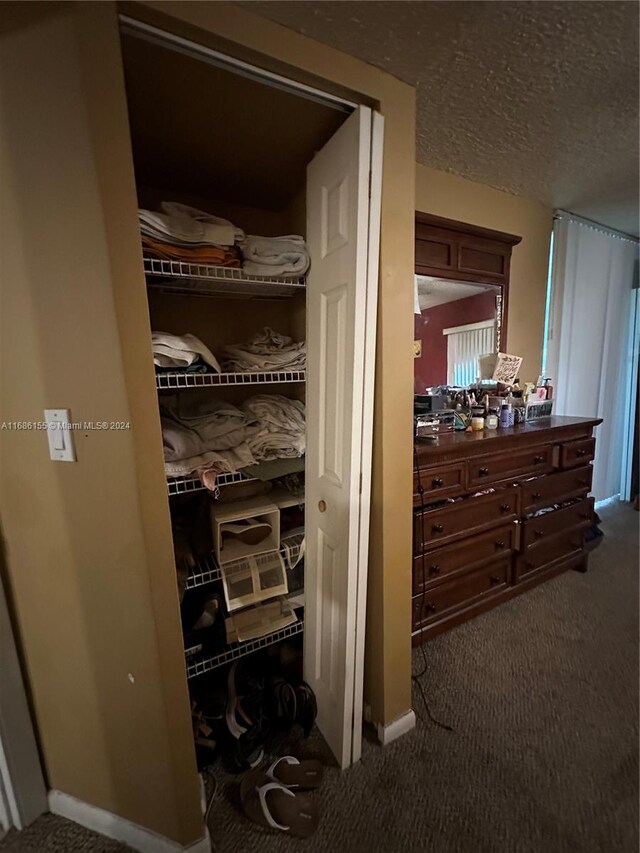 view of closet