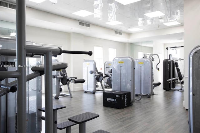 exercise room featuring a paneled ceiling and dark wood-type flooring