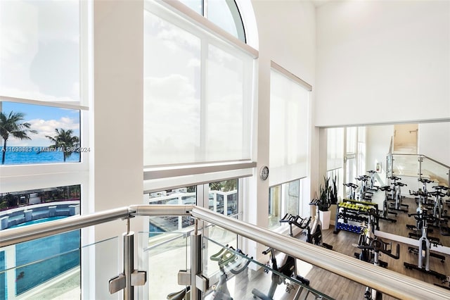 interior space featuring plenty of natural light, a towering ceiling, and wood-type flooring