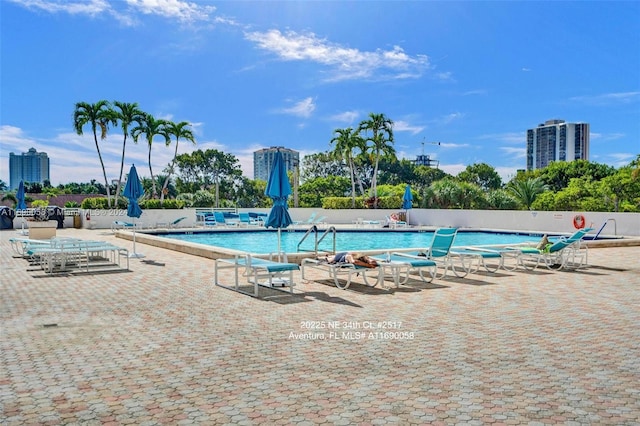 view of pool with a patio