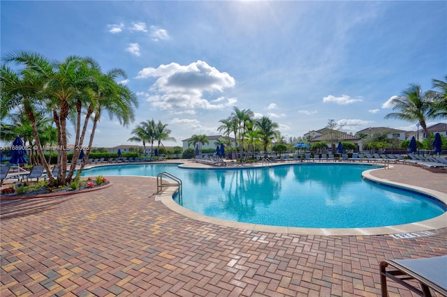 view of swimming pool featuring a patio