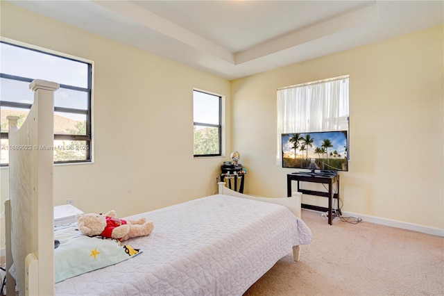 bedroom featuring carpet flooring and a raised ceiling