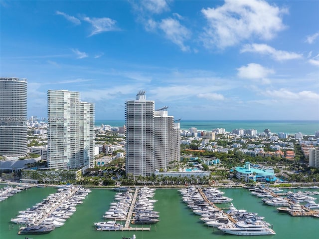 aerial view with a water view