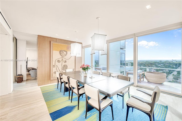 dining area with light hardwood / wood-style floors