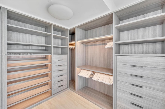 spacious closet with light wood-type flooring