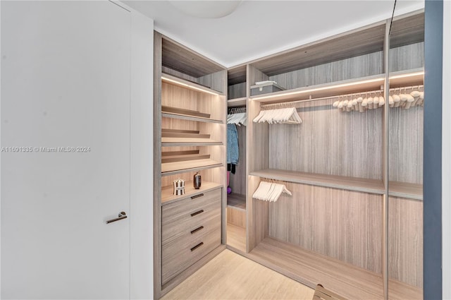 9111 Collins Ave Unit N-Ph6, Surfside, FL 33154 - walk in closet with wood finished floors