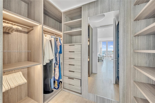 walk in closet featuring light hardwood / wood-style flooring