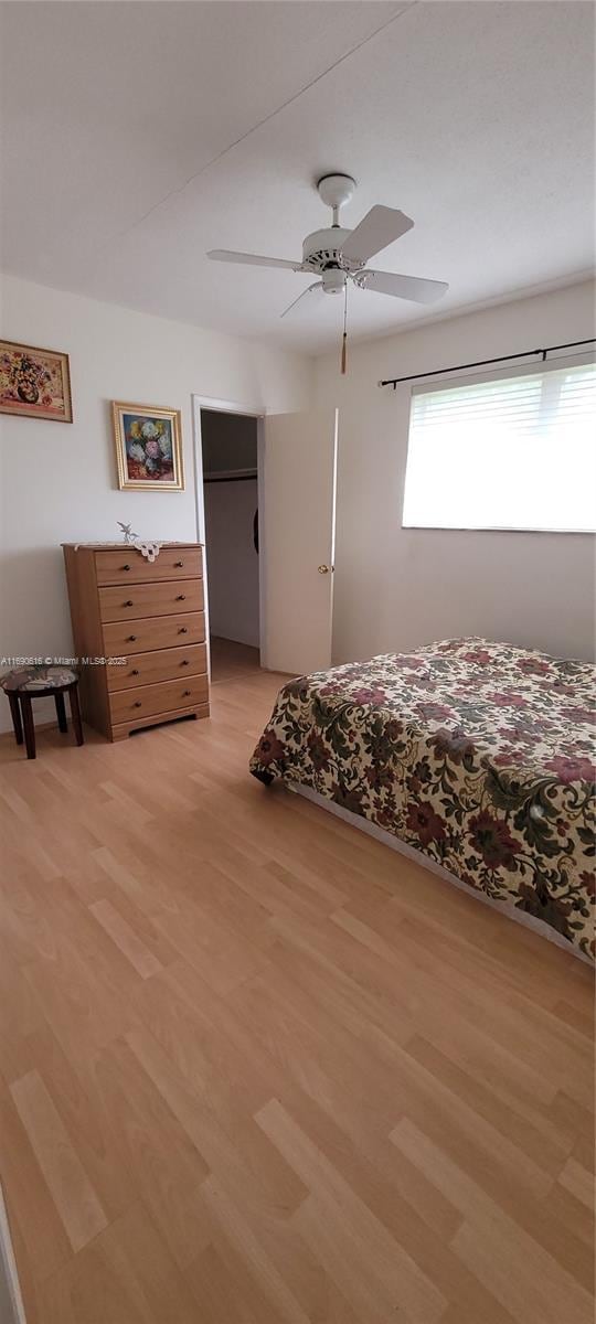 bedroom featuring ceiling fan, a walk in closet, a closet, and light wood-type flooring