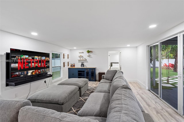 living room featuring wood-type flooring