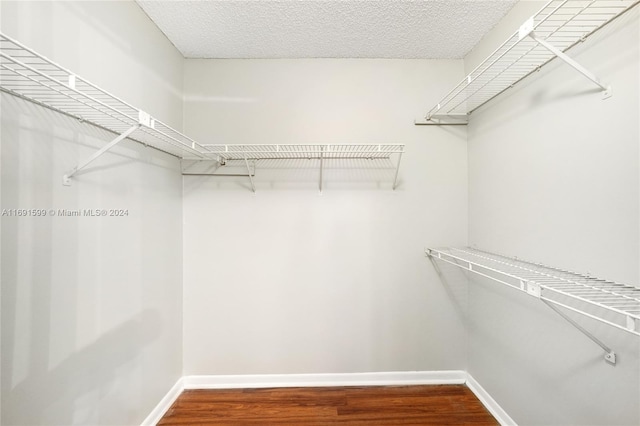 walk in closet featuring hardwood / wood-style flooring