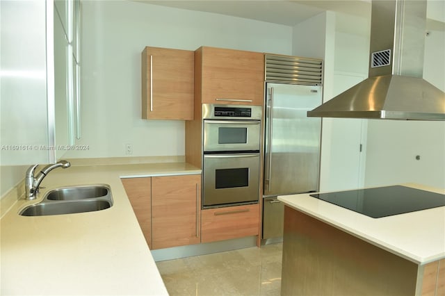 kitchen with stainless steel appliances, sink, and exhaust hood