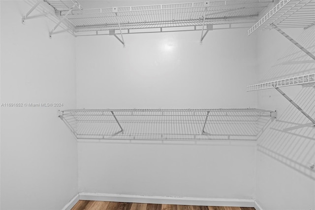 spacious closet with hardwood / wood-style flooring