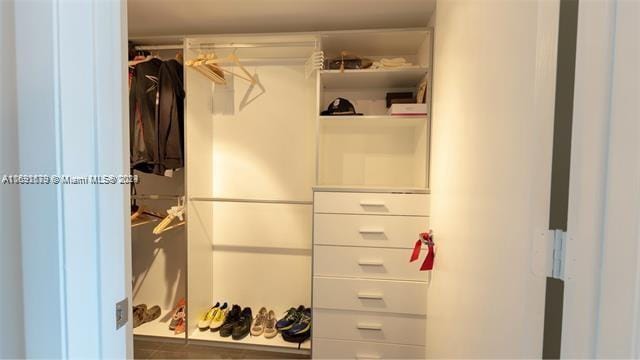 view of walk in closet