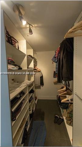 view of spacious closet