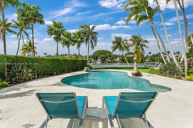 view of swimming pool with a patio area