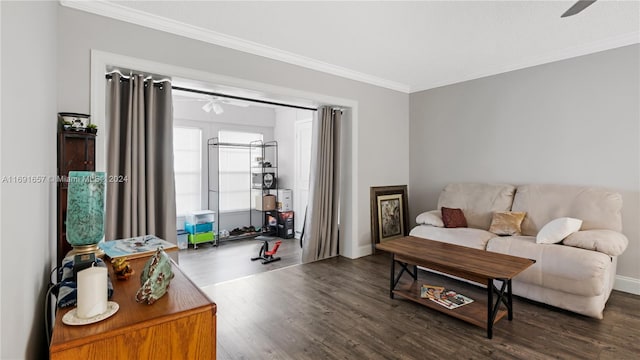 living room featuring dark wood-type flooring, ceiling fan, and crown molding