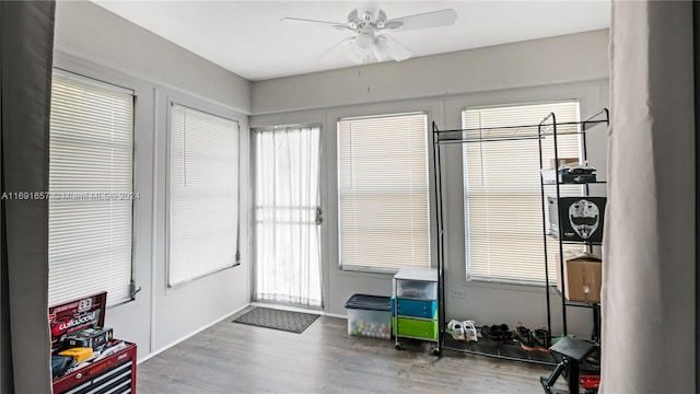 interior space with ceiling fan, hardwood / wood-style flooring, and a healthy amount of sunlight