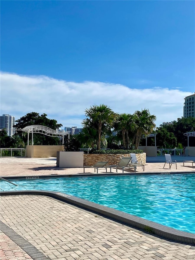 view of pool with a patio area