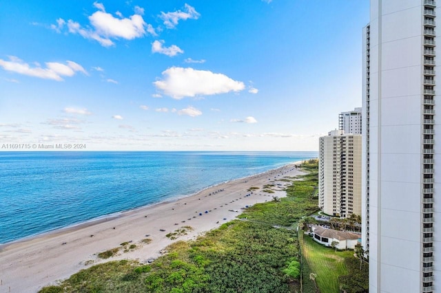 water view featuring a beach view