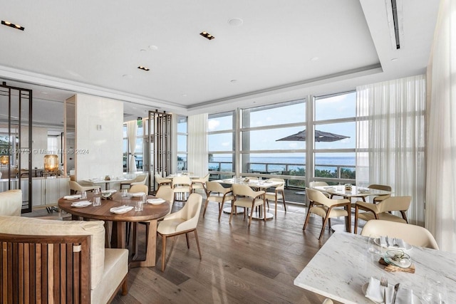 dining room with dark hardwood / wood-style floors and a raised ceiling