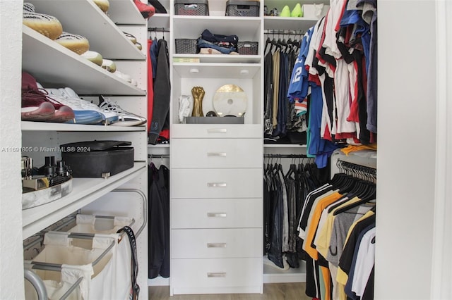 spacious closet featuring light hardwood / wood-style flooring