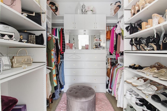 spacious closet with hardwood / wood-style floors