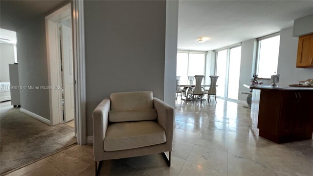 sitting room with light colored carpet and floor to ceiling windows