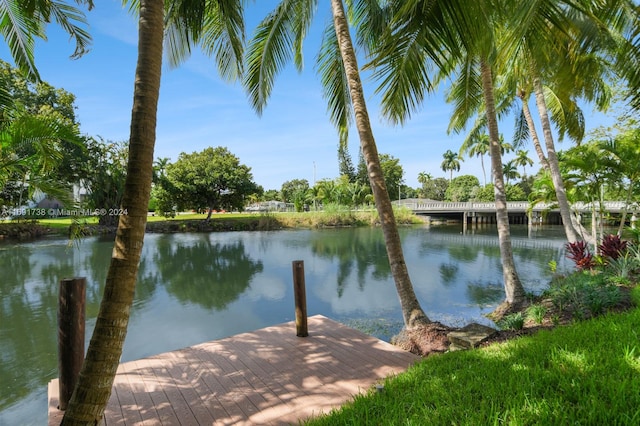 dock area with a water view