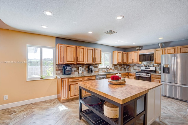 kitchen featuring stainless steel appliances, plenty of natural light, and backsplash