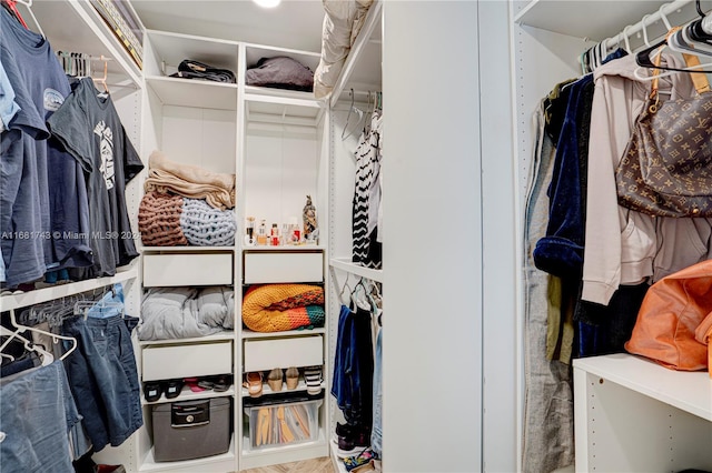 view of spacious closet