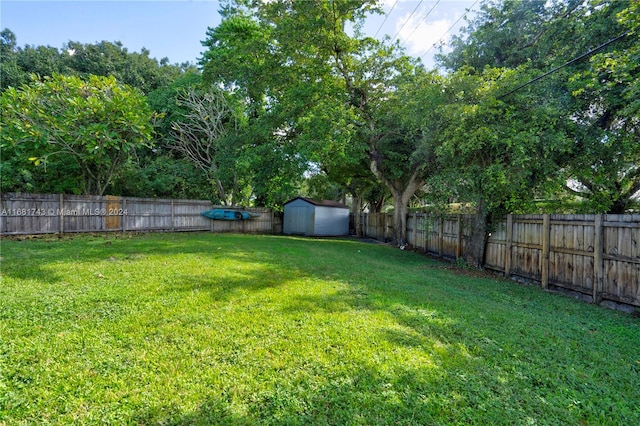 view of yard featuring a storage shed