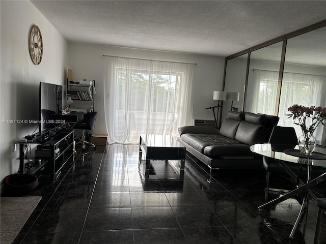 living room with a textured ceiling