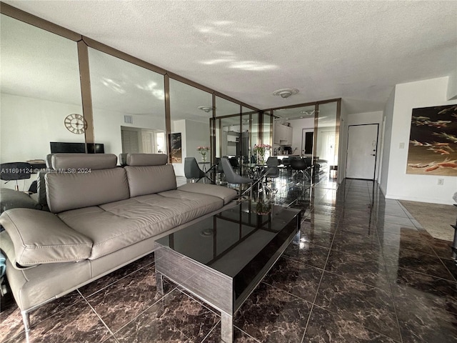 living room featuring a textured ceiling