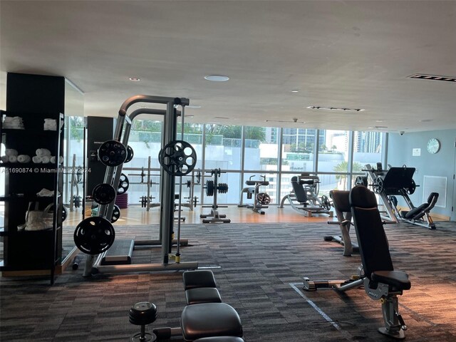 gym featuring carpet and a wall of windows